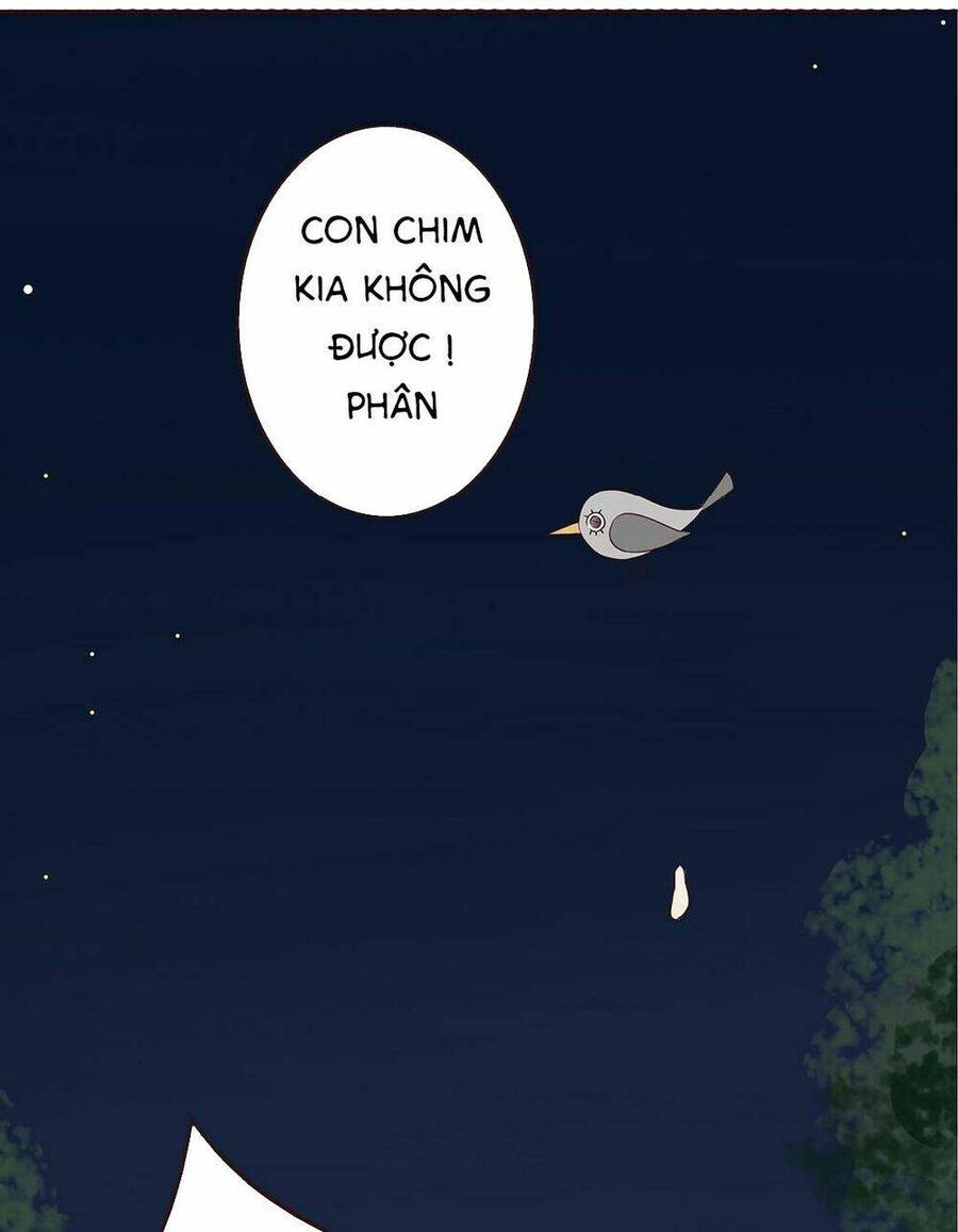 Đế Quân Không Biết Yêu Chapter 2 - 13