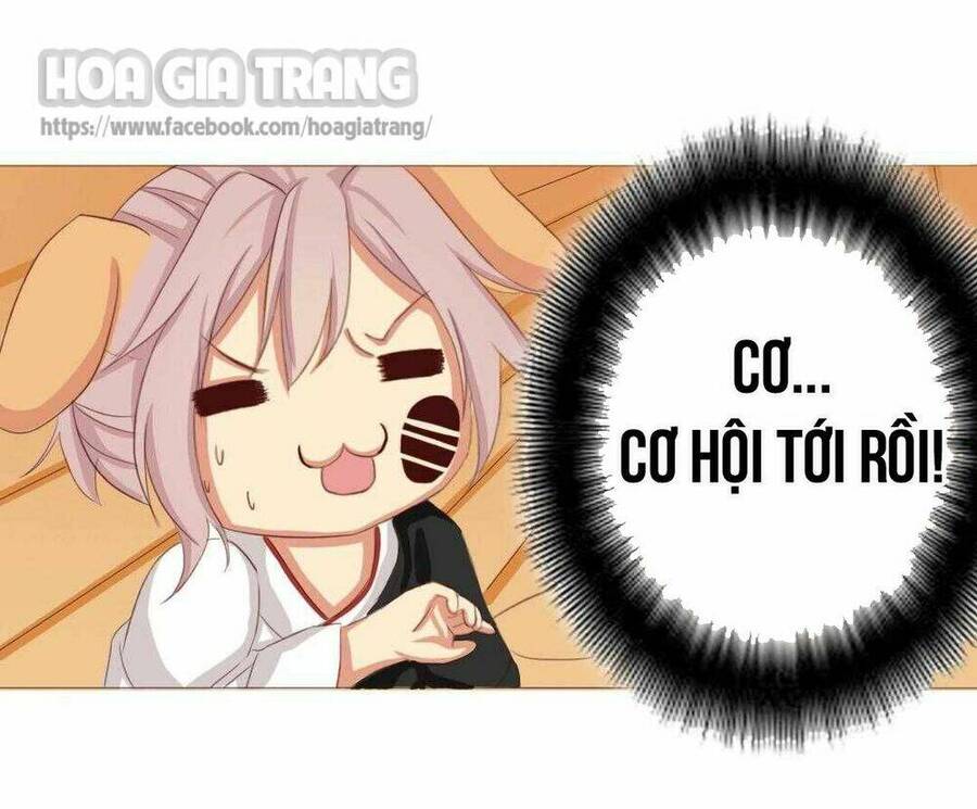 Đế Quân Không Biết Yêu Chapter 4 - 16