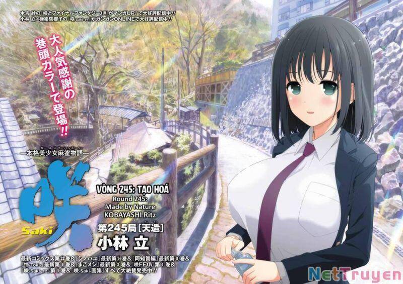 Saki Chapter 245 - 4