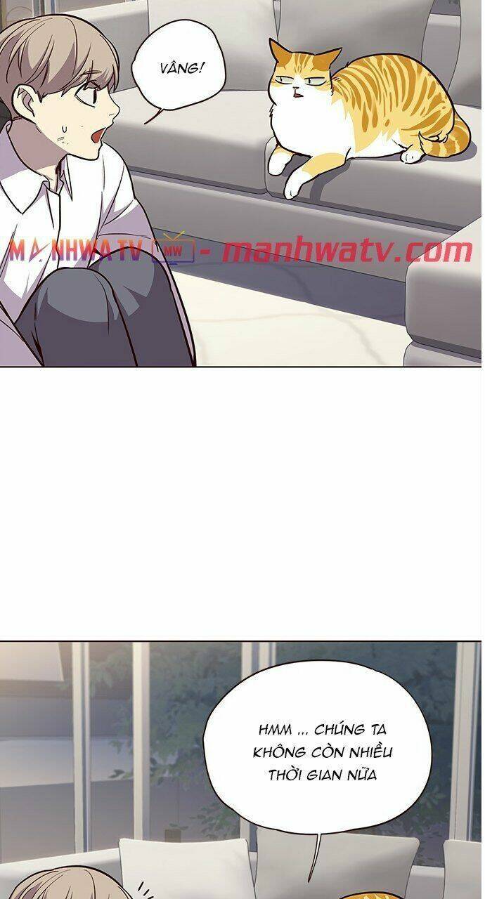 Hoá Thân Thành Mèo Chapter 21 - 51
