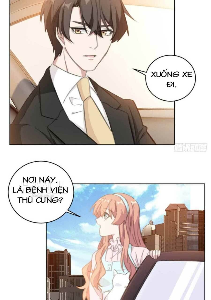 Hôn Nhân Trọng Sinh Nhẹ Nhàng Ấm Áp Sủng Vợ Chapter 177 - 11