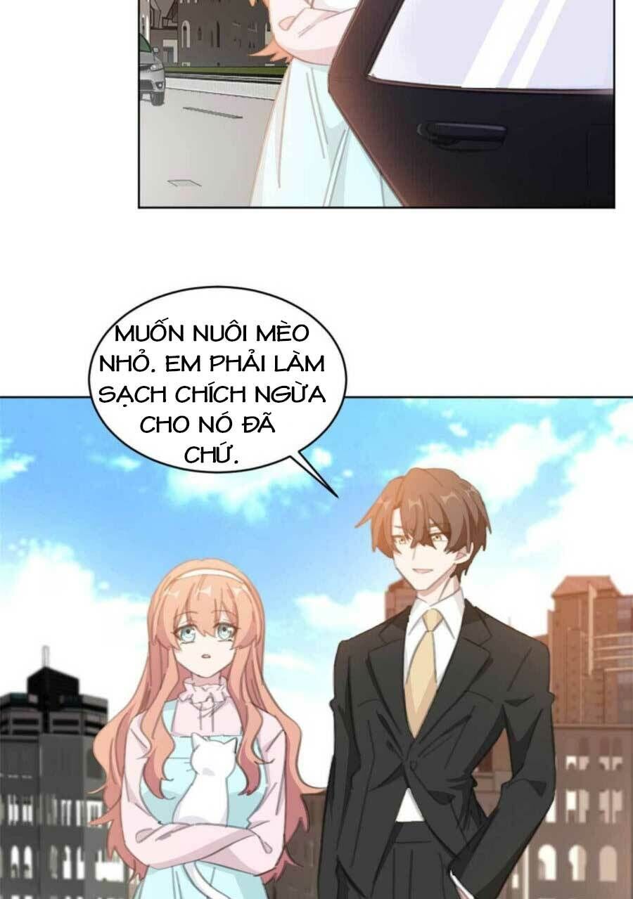 Hôn Nhân Trọng Sinh Nhẹ Nhàng Ấm Áp Sủng Vợ Chapter 177 - 12