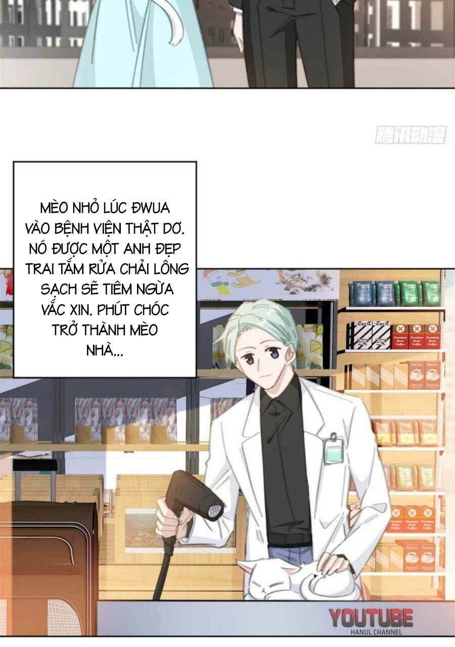 Hôn Nhân Trọng Sinh Nhẹ Nhàng Ấm Áp Sủng Vợ Chapter 177 - 13