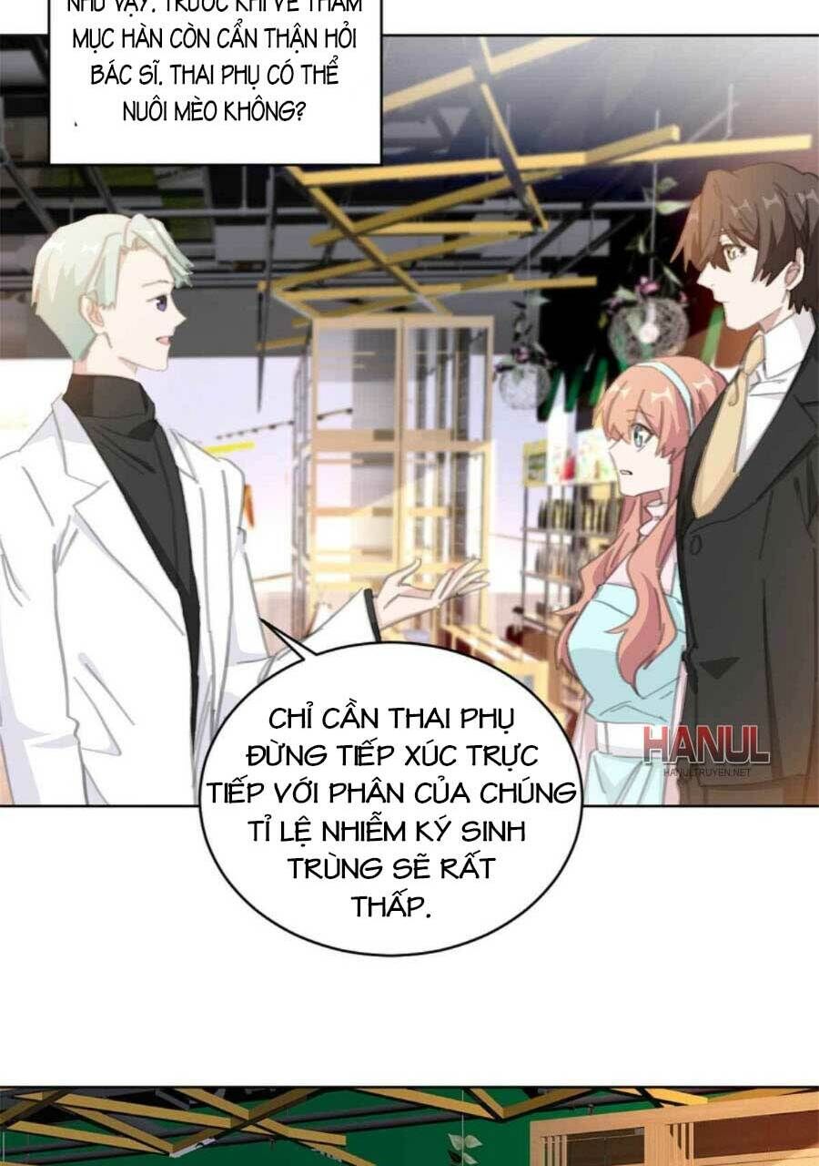 Hôn Nhân Trọng Sinh Nhẹ Nhàng Ấm Áp Sủng Vợ Chapter 177 - 15