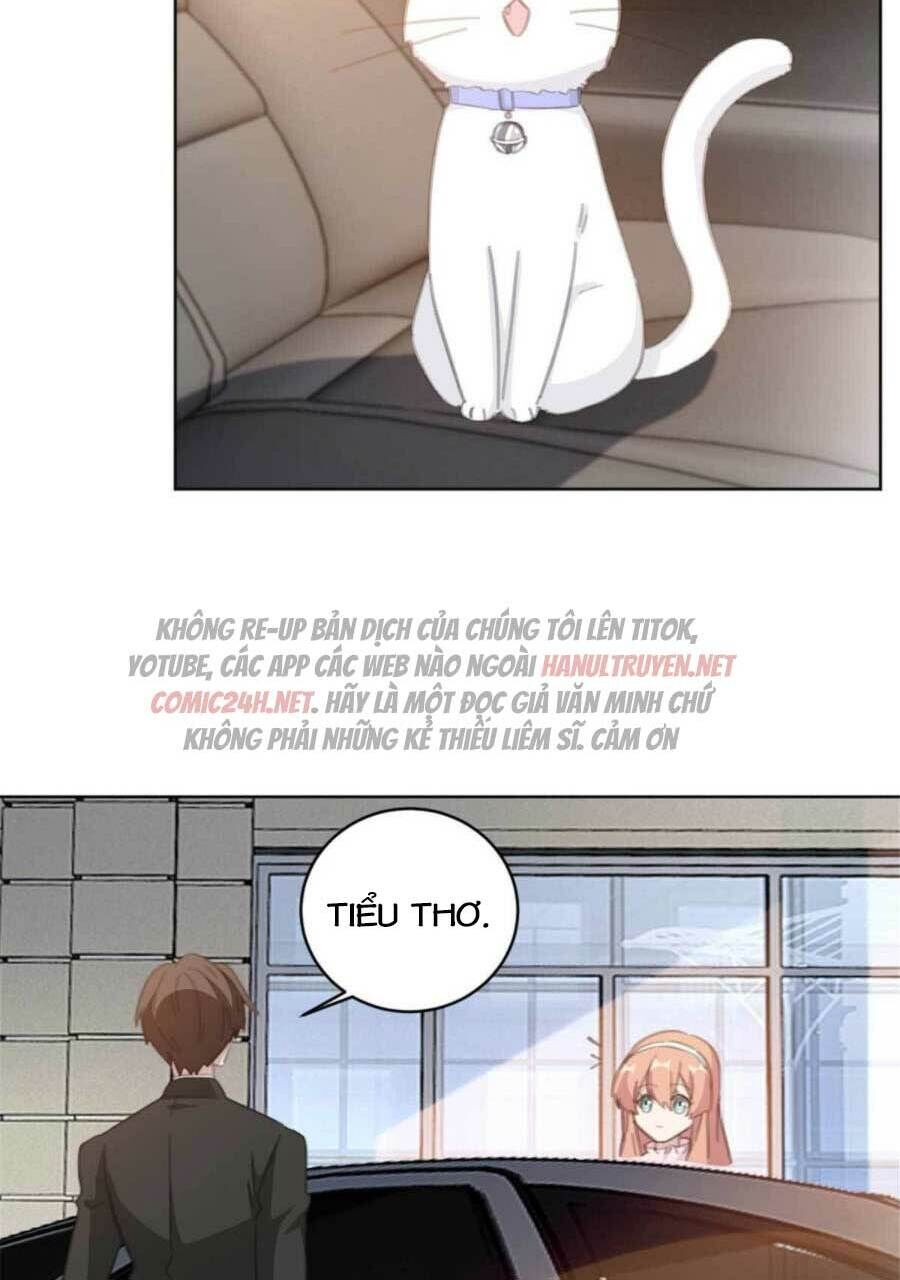 Hôn Nhân Trọng Sinh Nhẹ Nhàng Ấm Áp Sủng Vợ Chapter 177 - 17