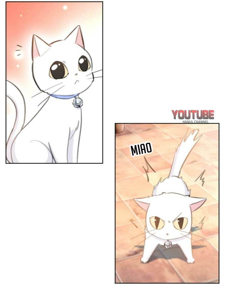 Hôn Nhân Trọng Sinh Nhẹ Nhàng Ấm Áp Sủng Vợ Chapter 178 - 14