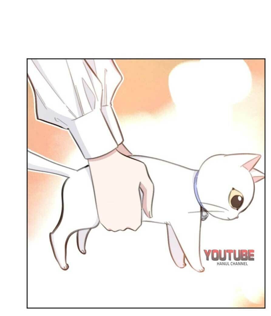 Hôn Nhân Trọng Sinh Nhẹ Nhàng Ấm Áp Sủng Vợ Chapter 180 - 15