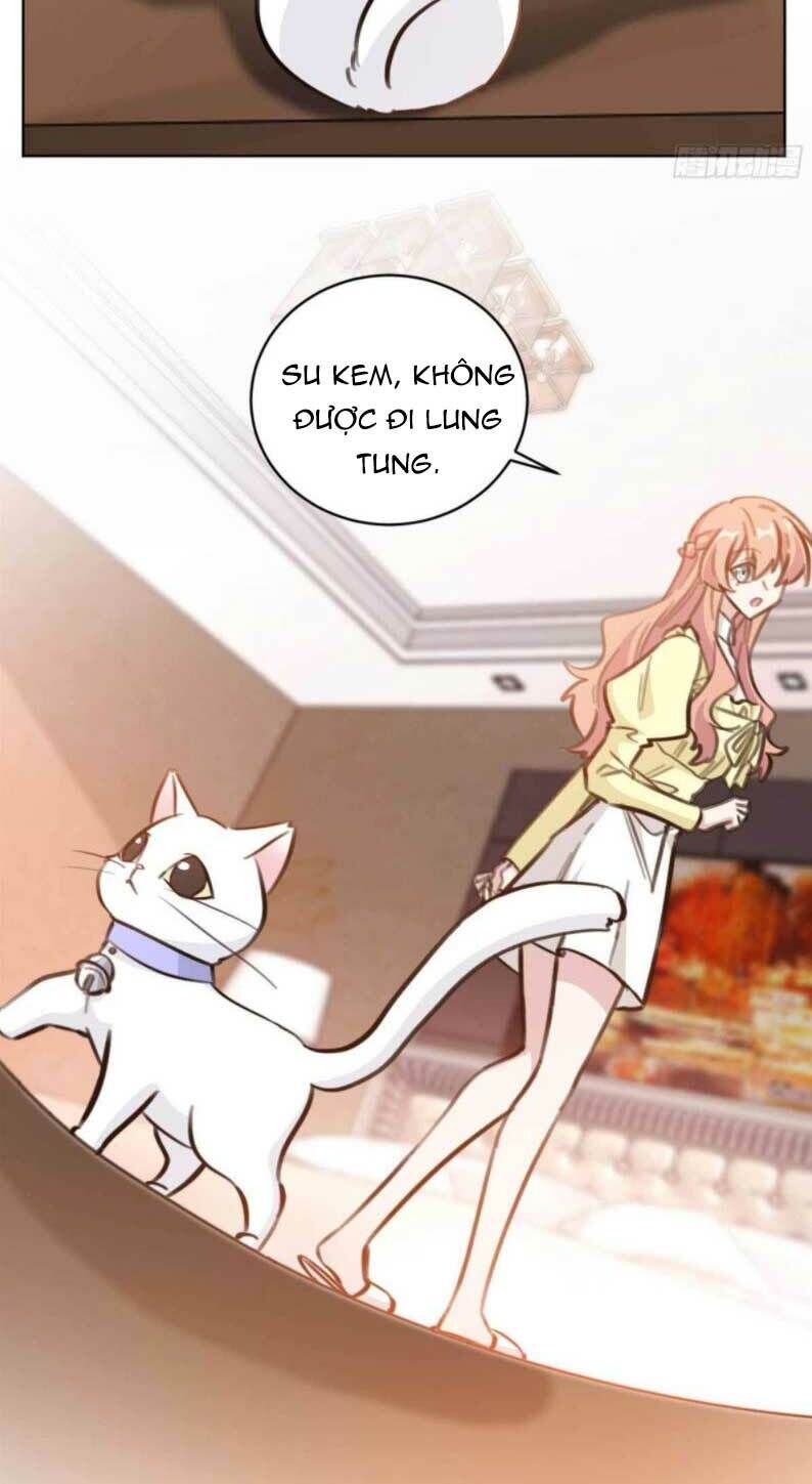 Hôn Nhân Trọng Sinh Nhẹ Nhàng Ấm Áp Sủng Vợ Chapter 193 - 13