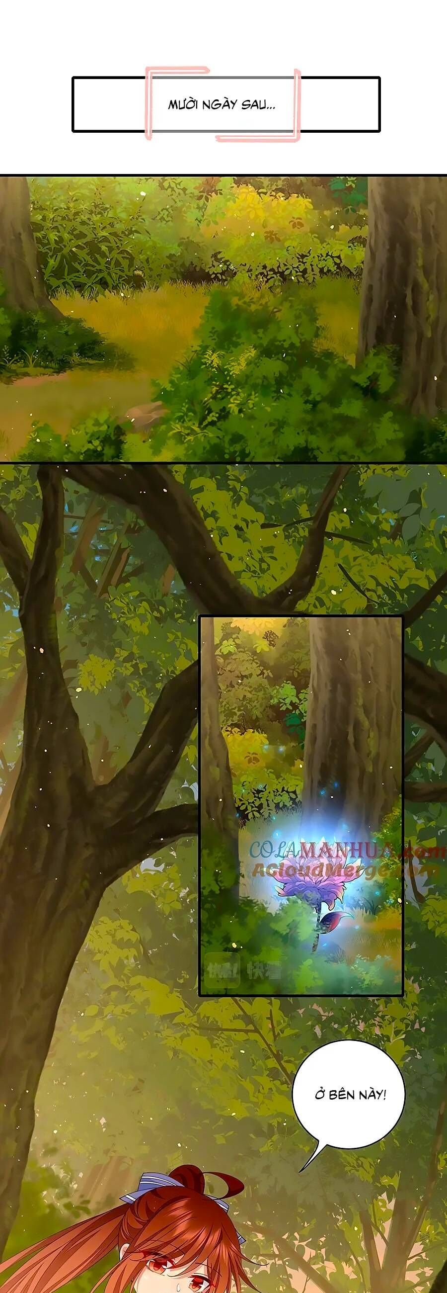Manh Sư Tại Thượng Chapter 444 - 25