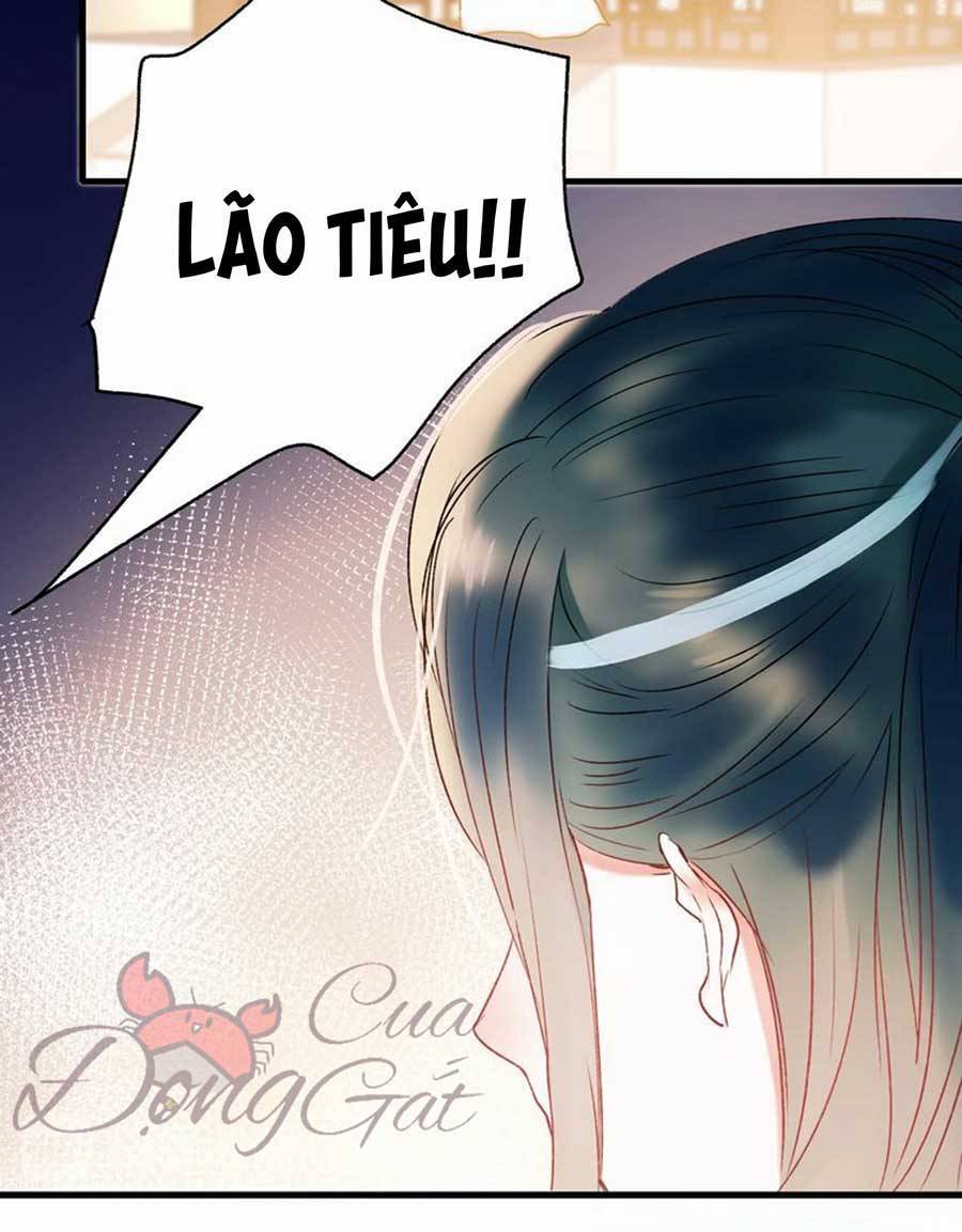 Thành Dã Tiêu Hà Chapter 31 - 36