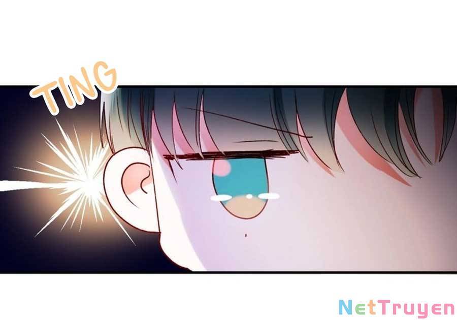 Thành Dã Tiêu Hà Chapter 41 - 14