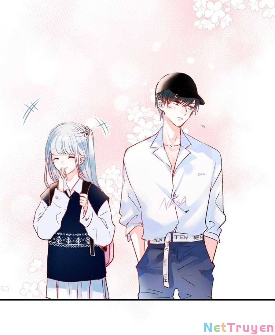 Thành Dã Tiêu Hà Chapter 41 - 20