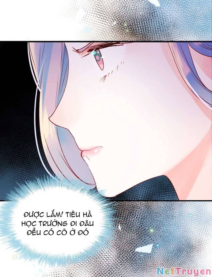 Thành Dã Tiêu Hà Chapter 41 - 52