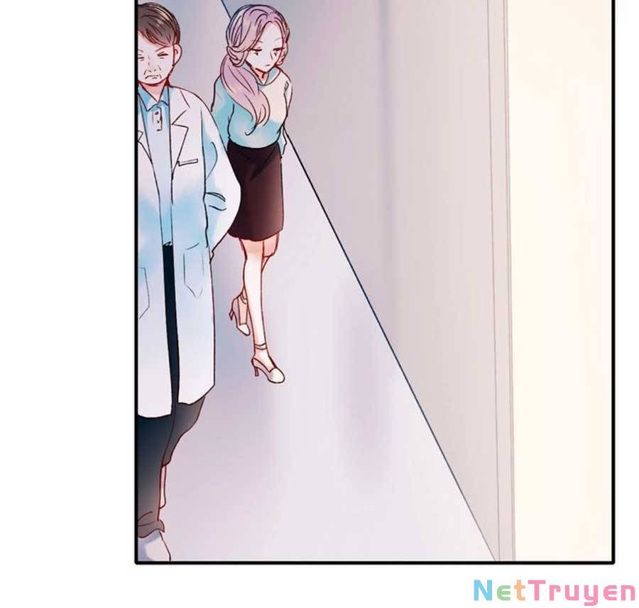 Thành Dã Tiêu Hà Chapter 41 - 63