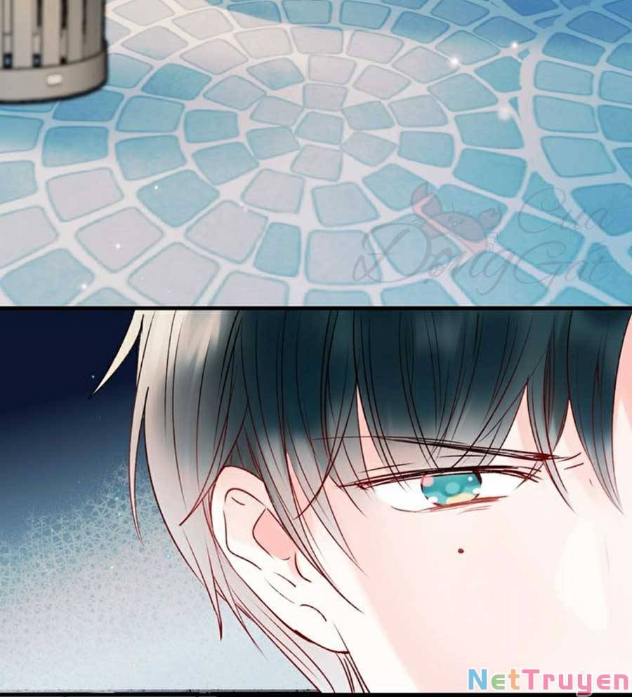 Thành Dã Tiêu Hà Chapter 44 - 63