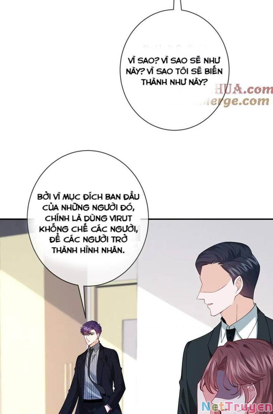 Danh Môn Chí Ái Chapter 444.1 - 6