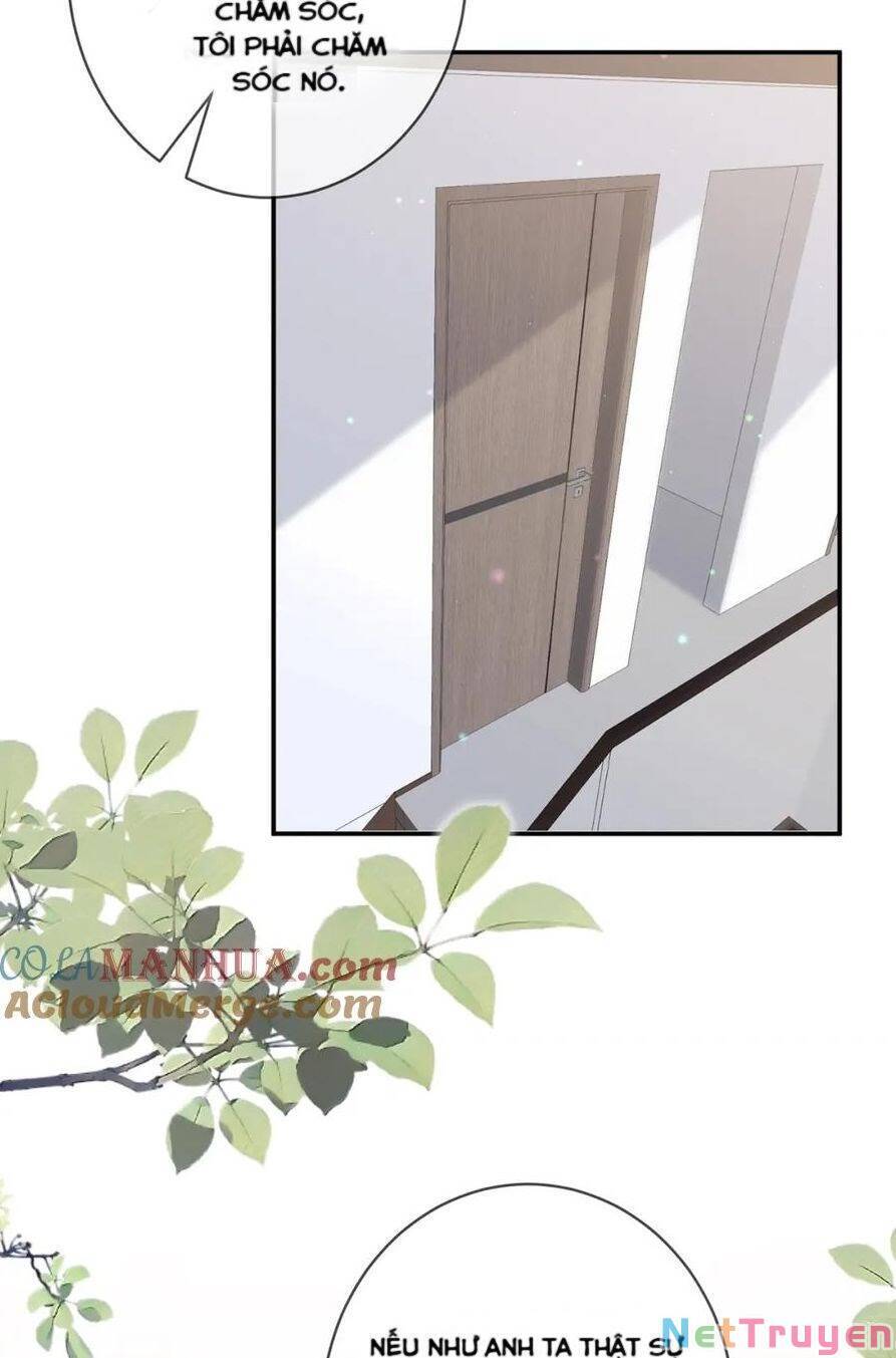 Danh Môn Chí Ái Chapter 444.2 - 23