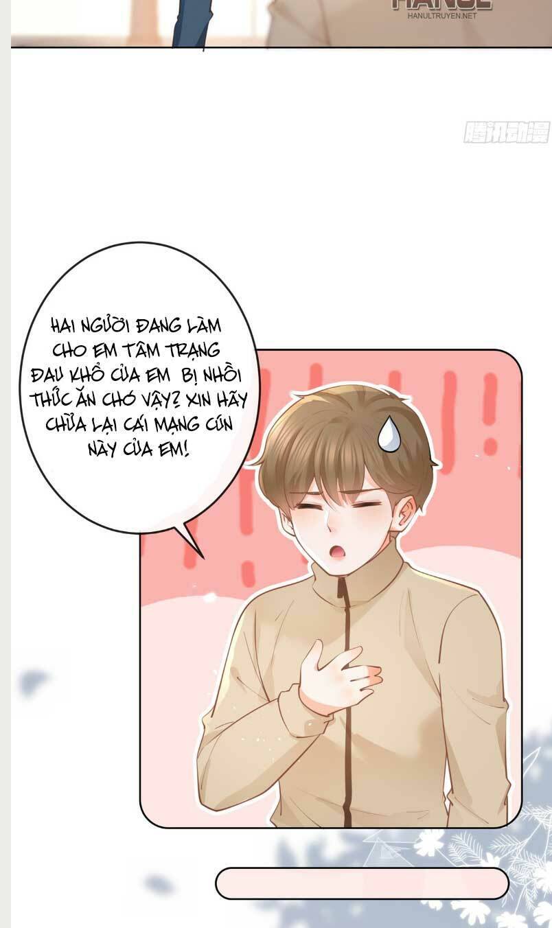 Ẩn Hôn 100%: Chọc Tức Vợ Yêu Mua Một Tặng Một Chapter 364 - 4