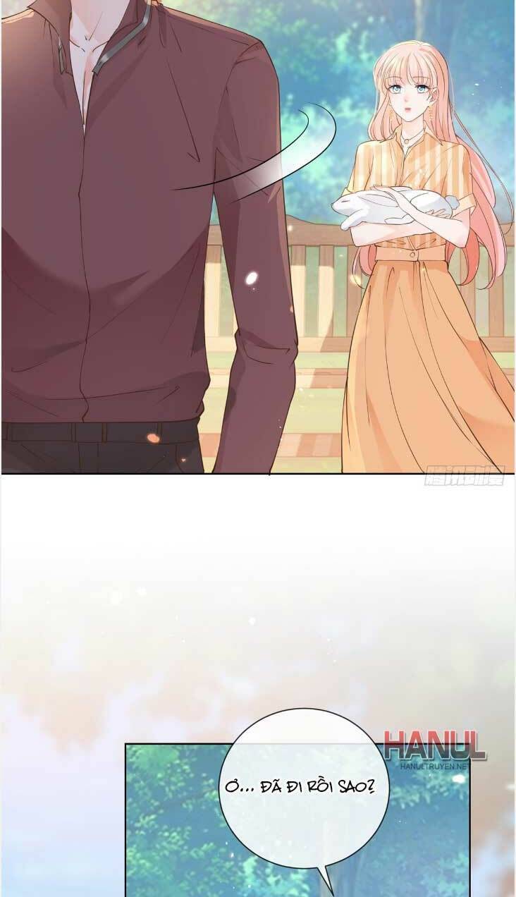 Ẩn Hôn 100%: Chọc Tức Vợ Yêu Mua Một Tặng Một Chapter 367 - 17