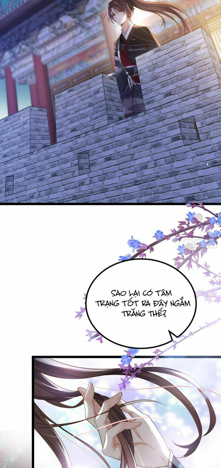 Hoạn Phi Thiên Hạ Chapter 299 - 5