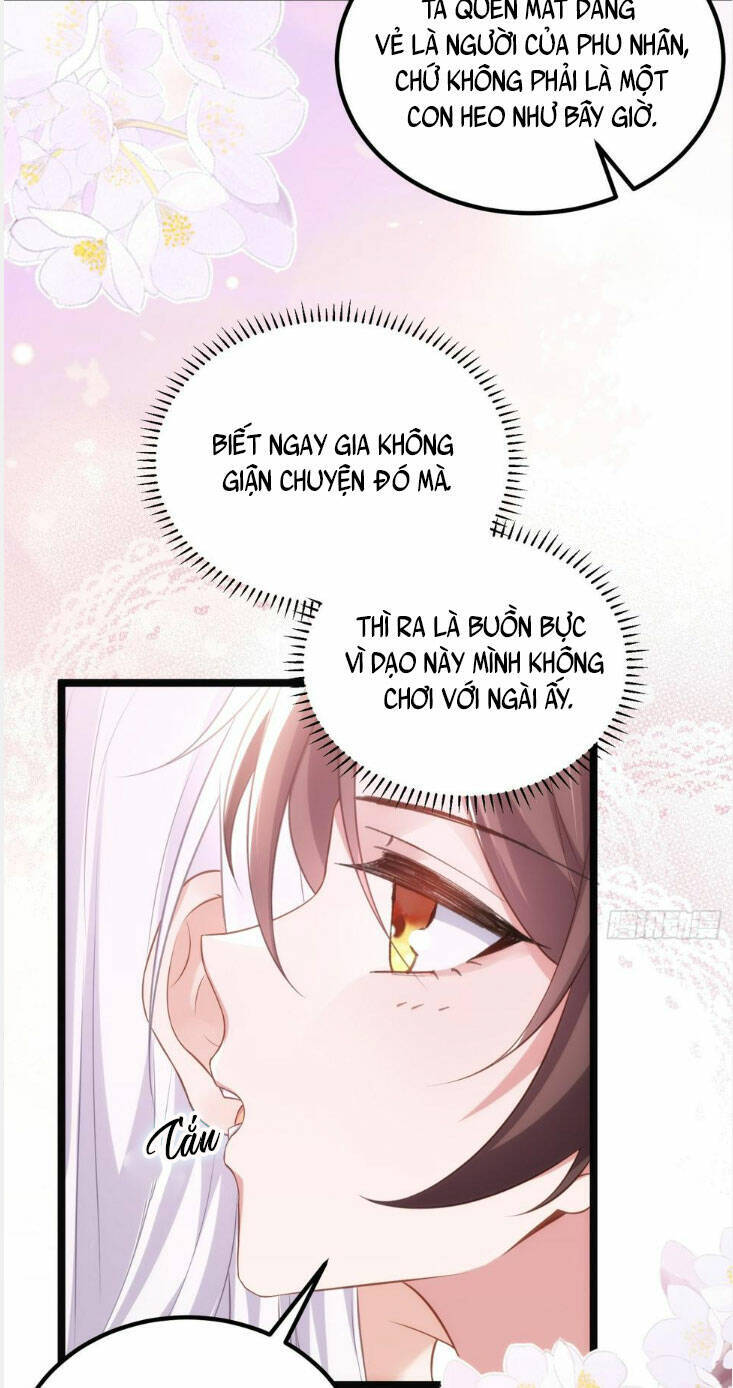 Hoạn Phi Thiên Hạ Chapter 304 - 24