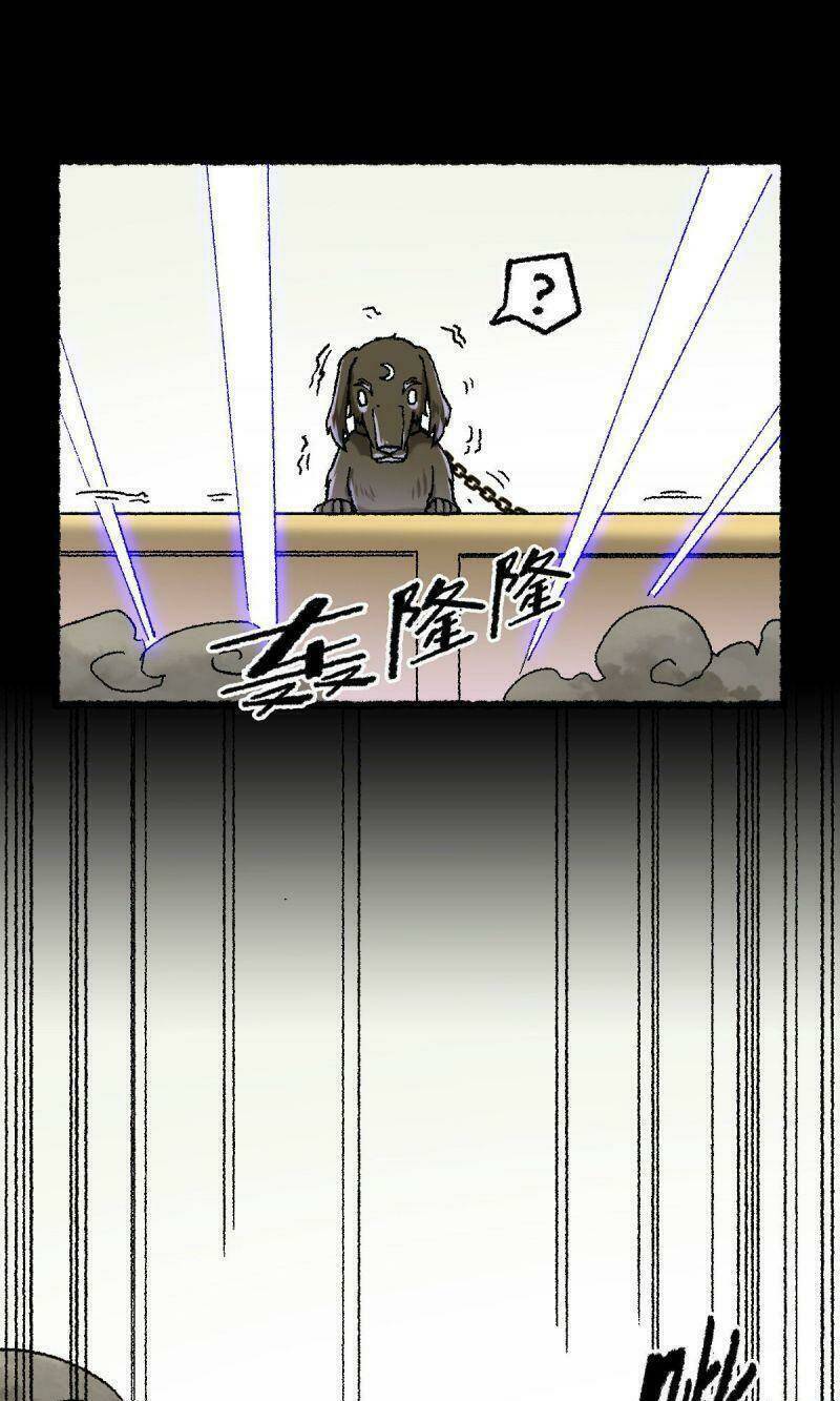 Ta Độ Kiếp Thất Bại Đều Là Tại Ngươi Chapter 67 - 13